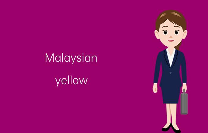 Malaysian（yellow noodles是什么东西）